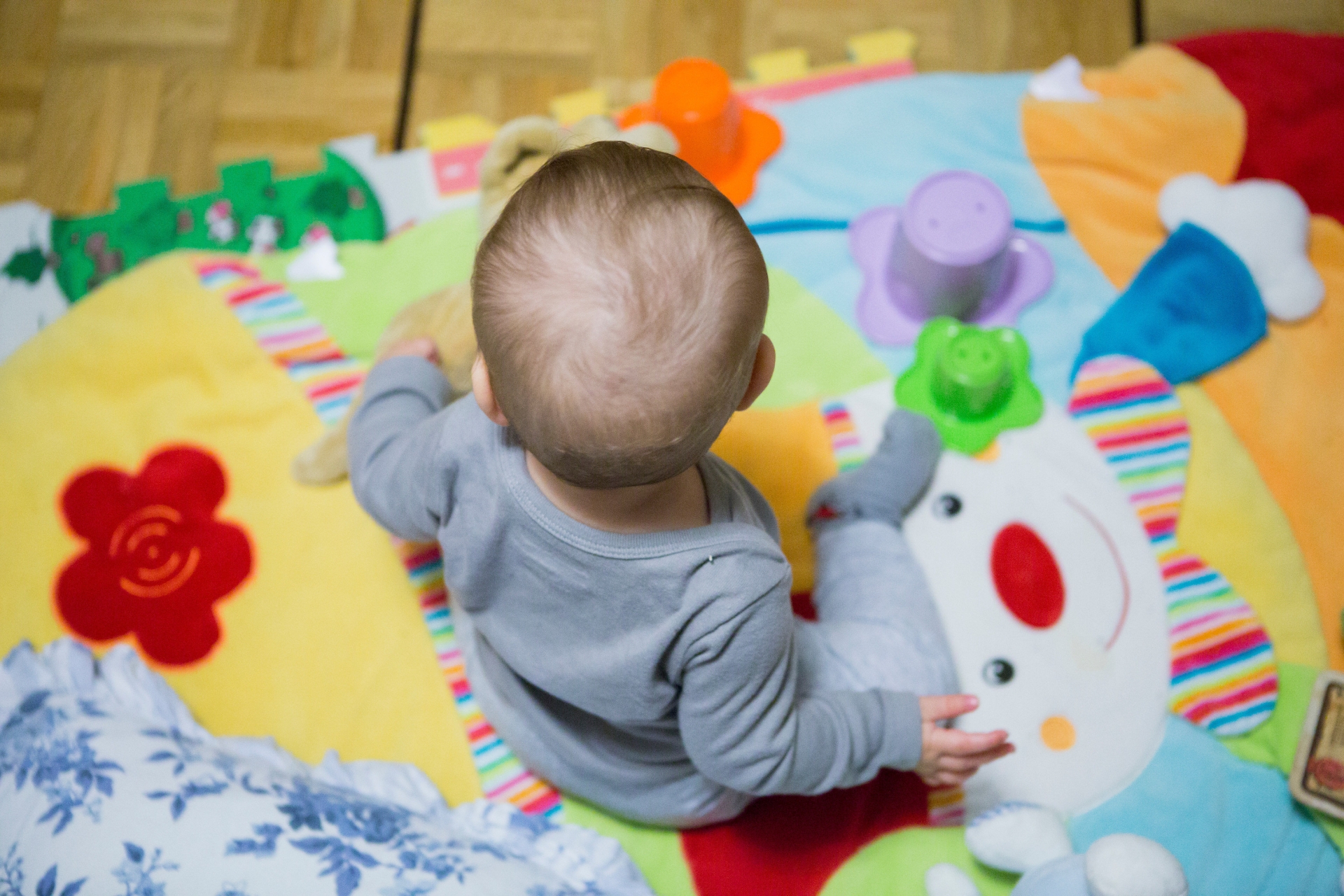 Le Baby Lab développe des outils pour les professionnels de la petite enfance.